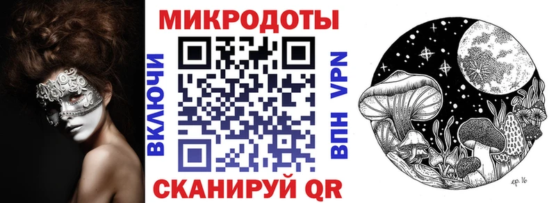 Псилоцибиновые грибы Psilocybe Рыбное